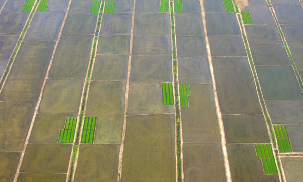 Aerial view of rural land parcels forming a grid pattern, illustrating boundary intersections documented in ALTA land surveys