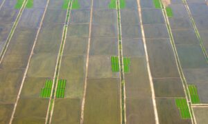 Aerial view of rural land parcels forming a grid pattern, illustrating boundary intersections documented in ALTA land surveys