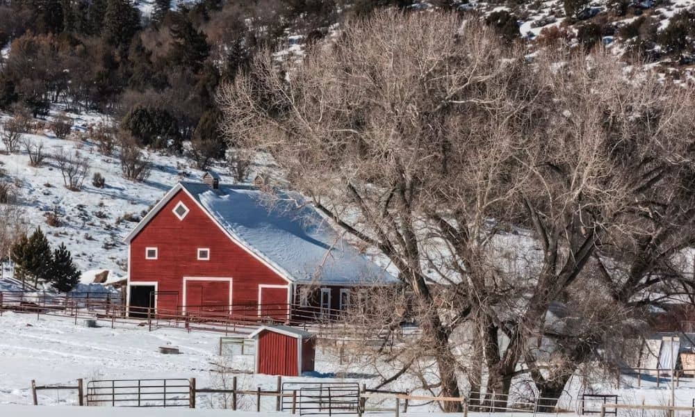 Snow-covered Wyoming property with a barn and fencing before closing and future building plans